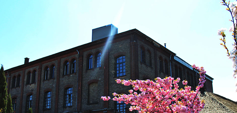 Backsteinfassade des Hafenpark Mannheim mit Kirschblüte